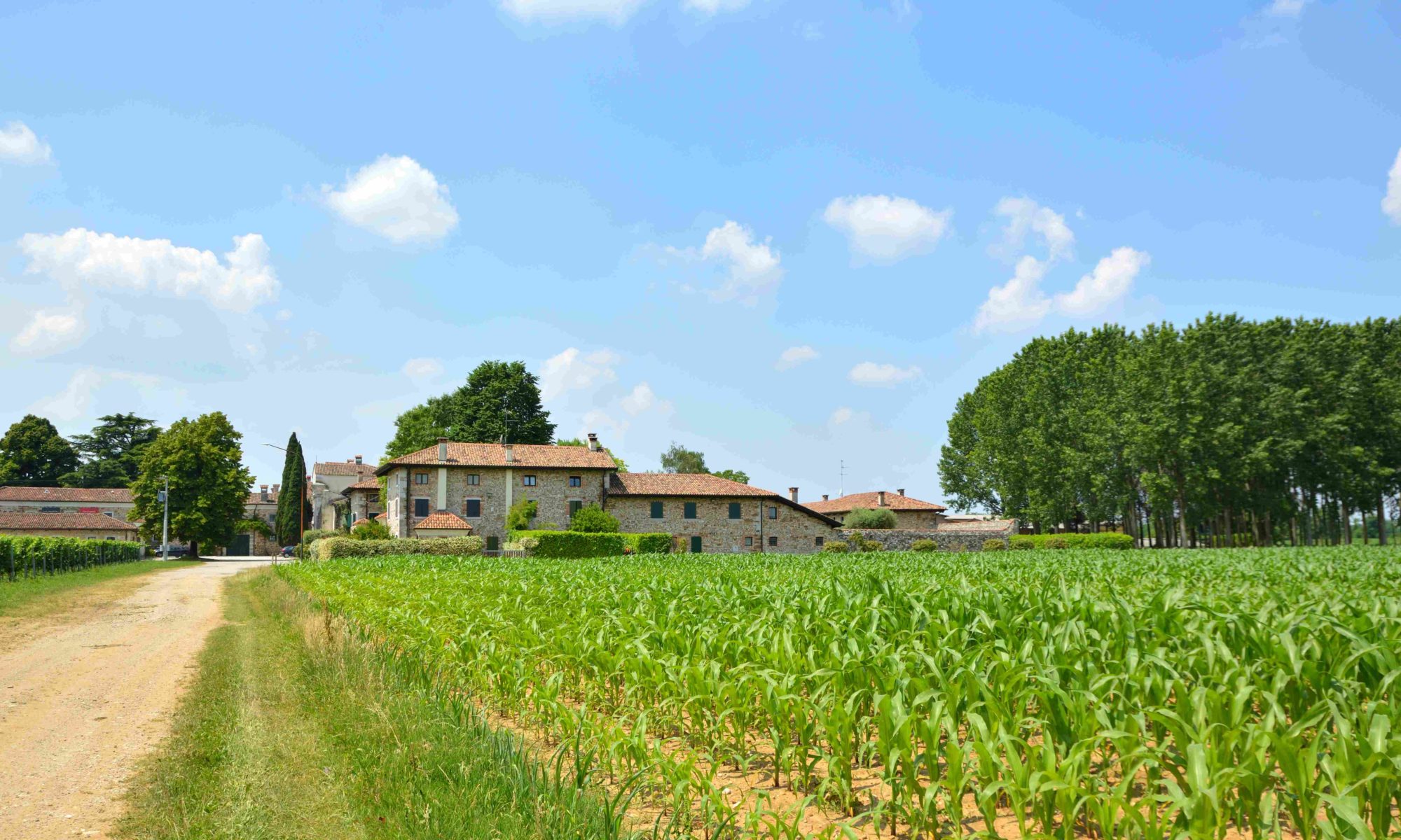 Tenuta Cortello